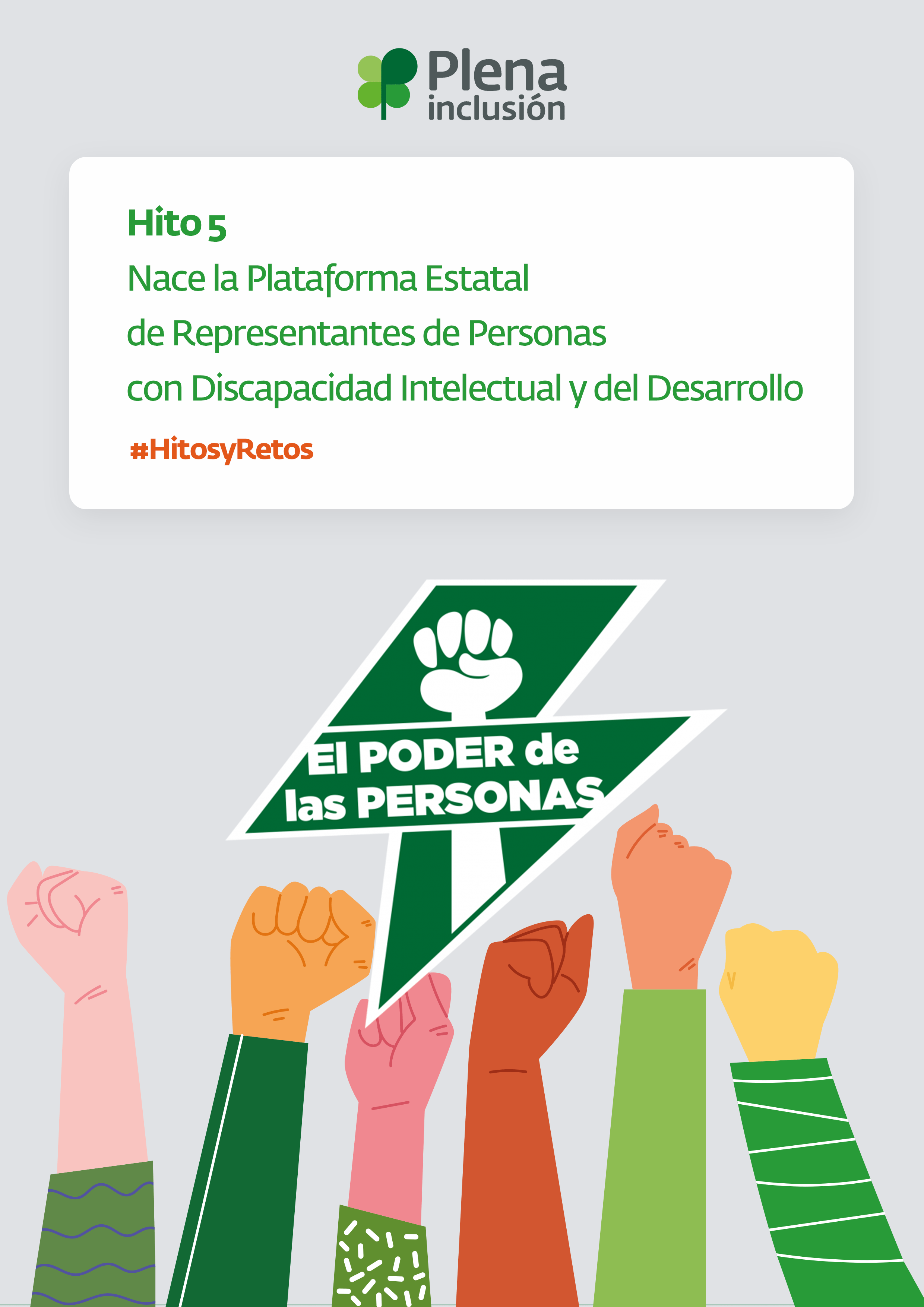 Hito 5 Nace la Plataforma Estatal de Representantes de Personas con Discapacidad Intelectual